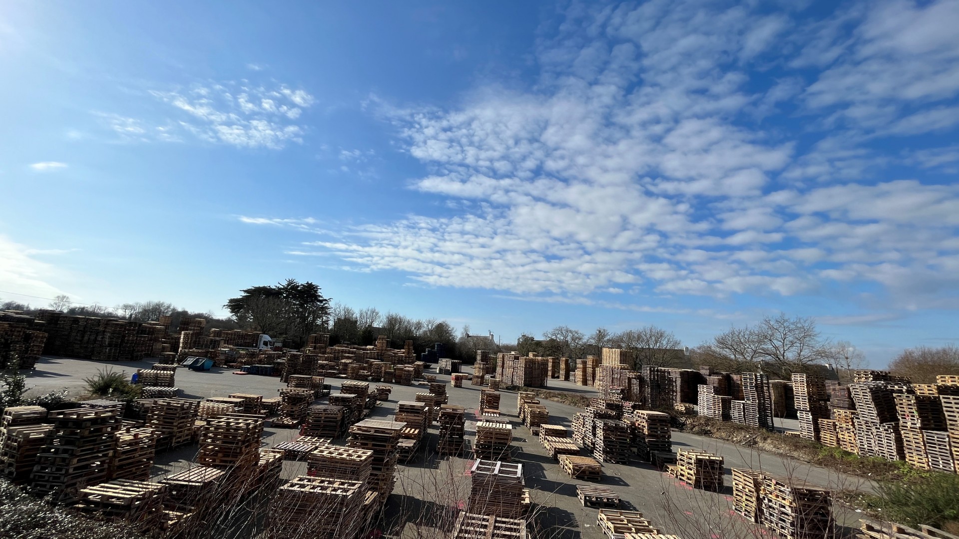 Valorisation et Fourniture de palettes depuis 1985